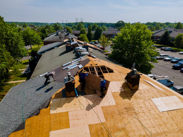Trusted Flat Roof Repair service in Surprise, NE - Brentwood Metal Roofing